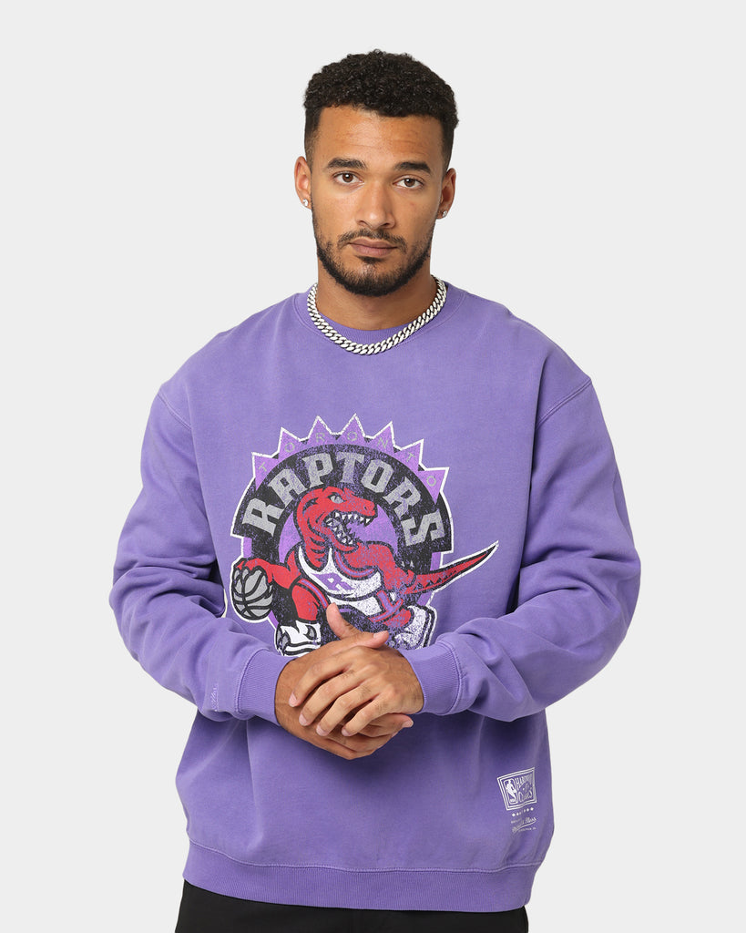 Toronto Raptors Vintage 90's Dinosaur NBA Crewneck Sweatshirt Hoodie Shirt  Gifts for Fans - Dingeas
